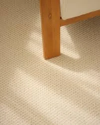 Moquette bouclée en salon résidentiel